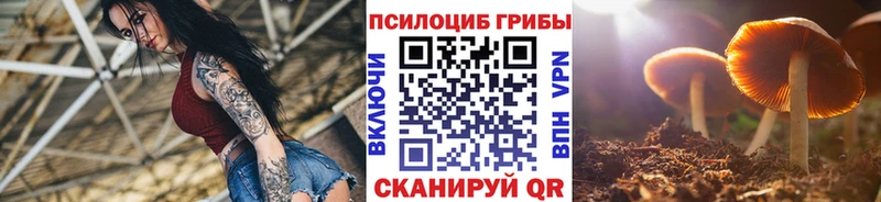 Псилоцибиновые грибы Psilocybine cubensis Купить Нахабино